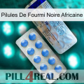 African Black Ant Pills 39